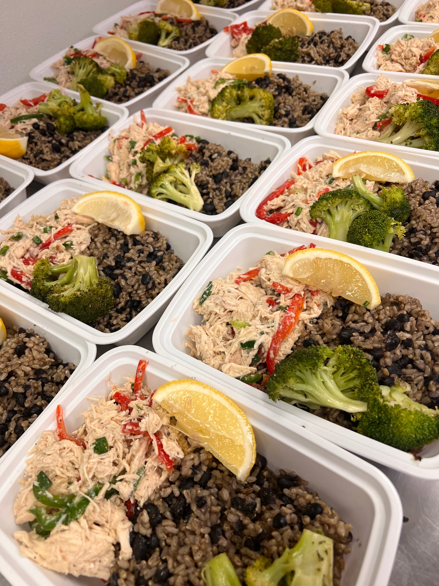Balance-Shredded Chicken and Brown Rice with Black beans