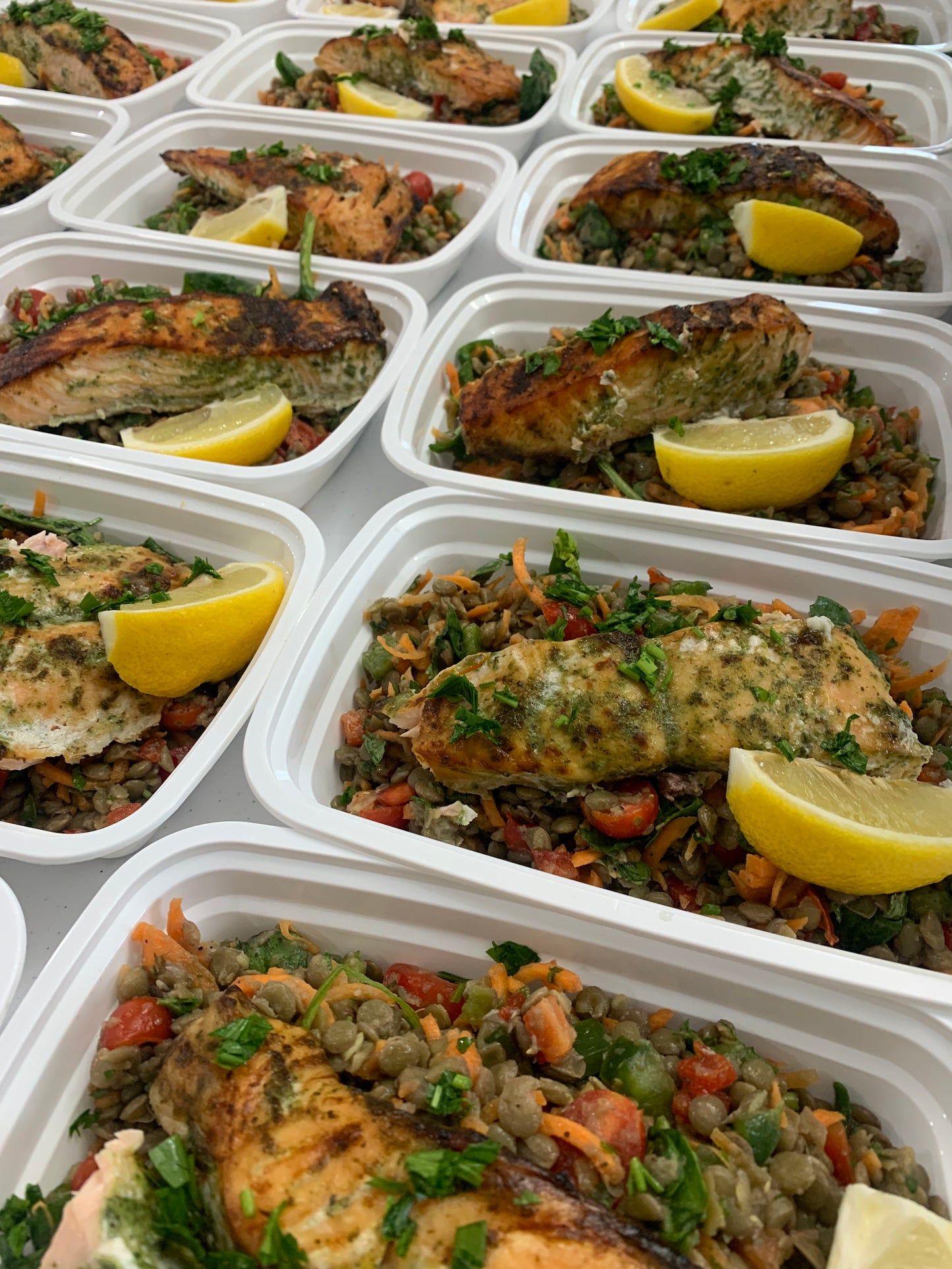 GF-Balanced-Salmon and Lentils