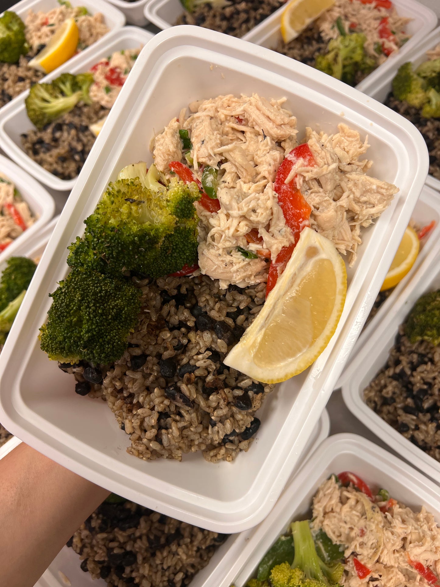 Balance-Shredded Chicken and Brown Rice with Black beans