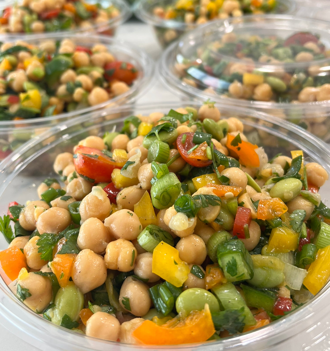 GF-Small- Vegetarian Garbanzo Salad