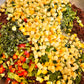 SMALL- 16 ounces of Quinoa and Veggie Salad